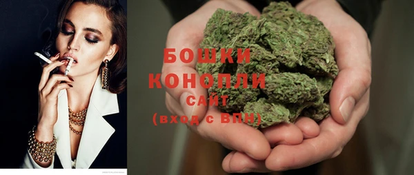 сатива Наволоки