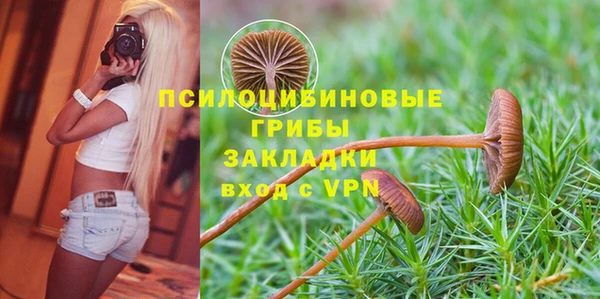 ГАЛЛЮЦИНОГЕННЫЕ ГРИБЫ Беслан