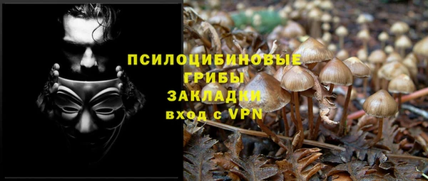 гидропоника Бикин