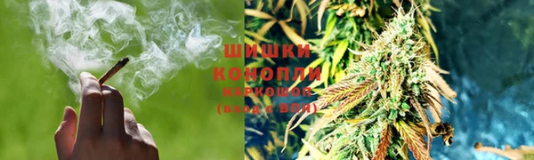 сатива Наволоки