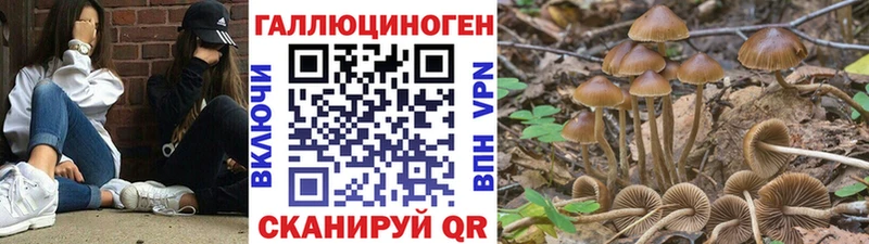 Галлюциногенные грибы прущие грибы  ОМГ ОМГ ССЫЛКА  Ивангород  наркотики 